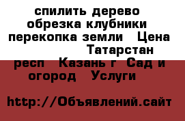 спилить дерево, обрезка клубники, перекопка земли › Цена ­ 500-1000 - Татарстан респ., Казань г. Сад и огород » Услуги   